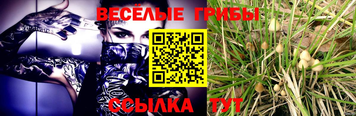 Галлюциногенные грибы Magic Shrooms  Вход с VPN  Нововоронеж 