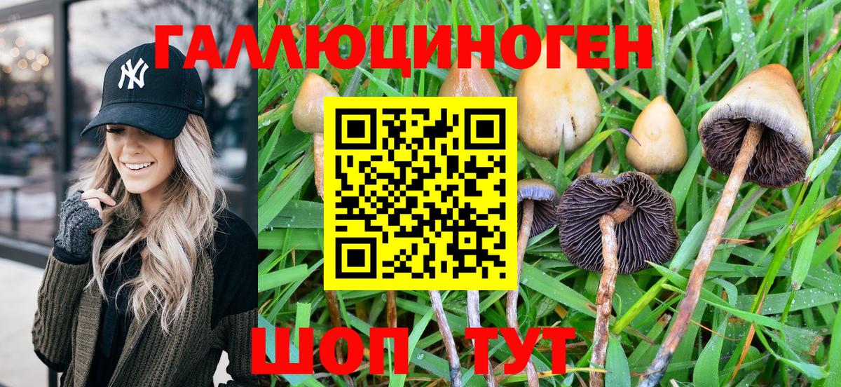 Псилоцибиновые грибы мухоморы Нововоронеж